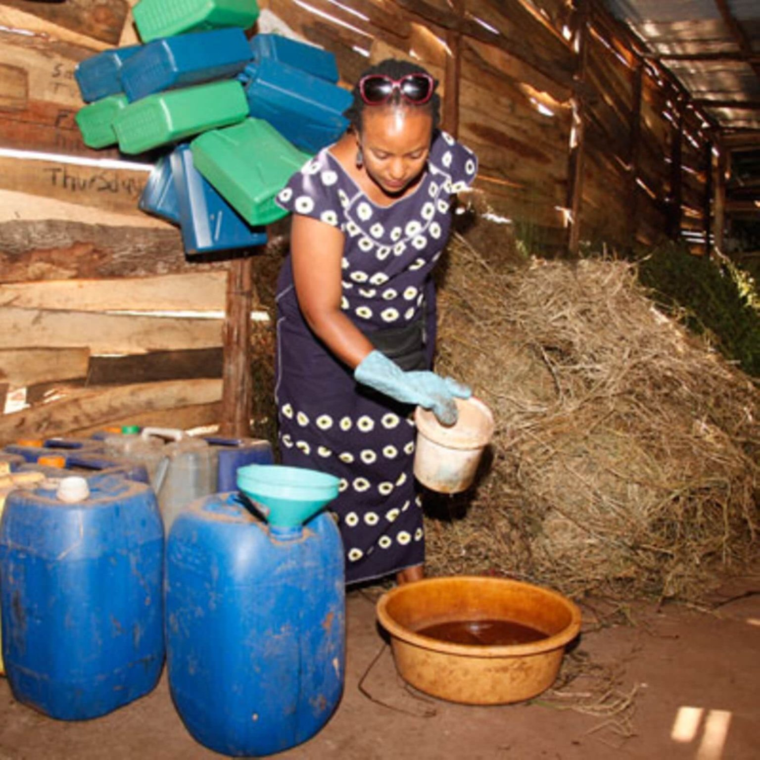 From Waste to Resource The Potential of Rabbit Urine as a Fertilizer