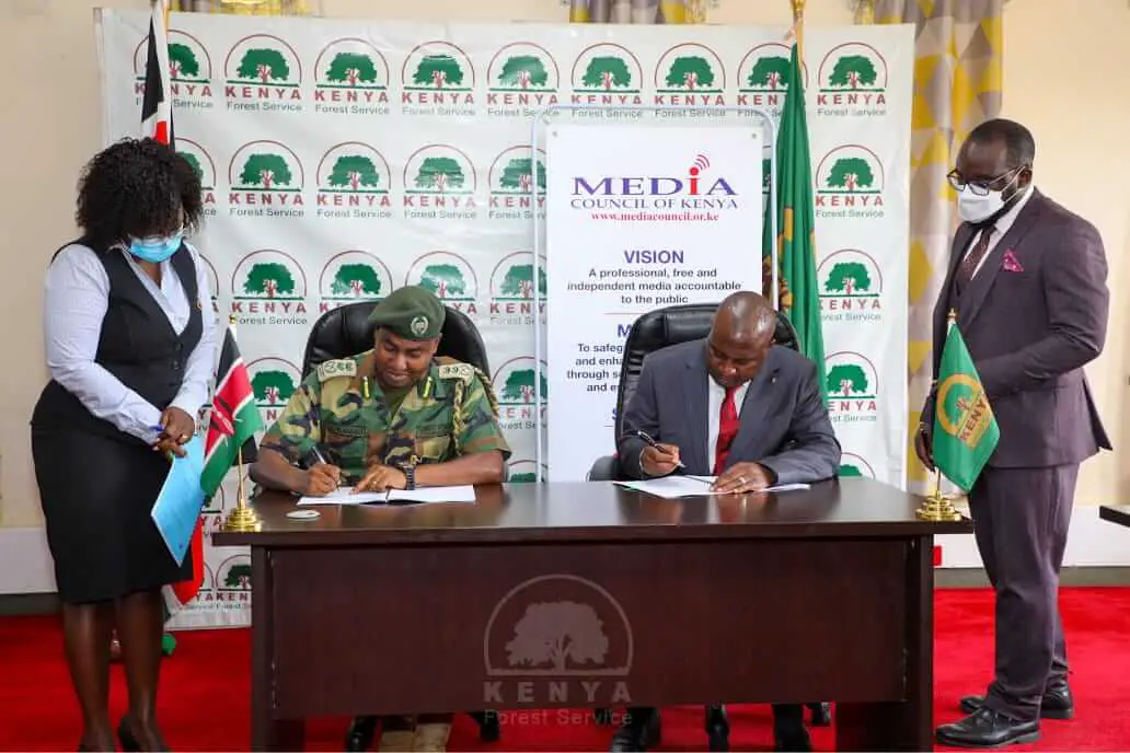 Kenya Forest Service Salary, Requirements, & Application Process