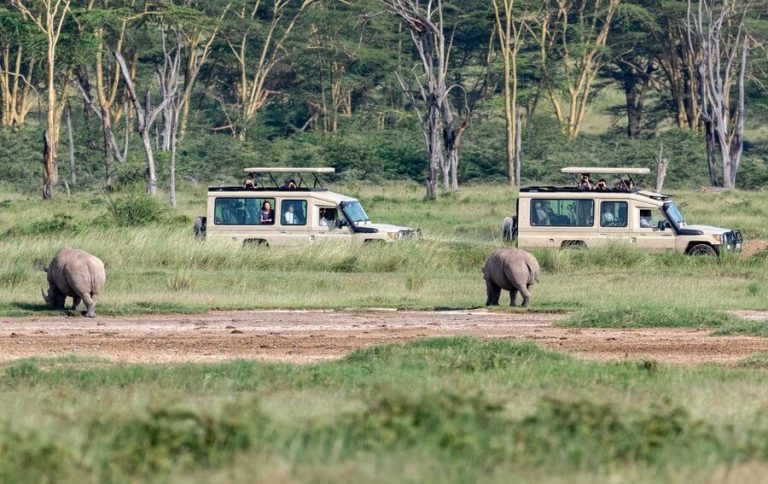 Weather in Kenya in May +Travel Tips