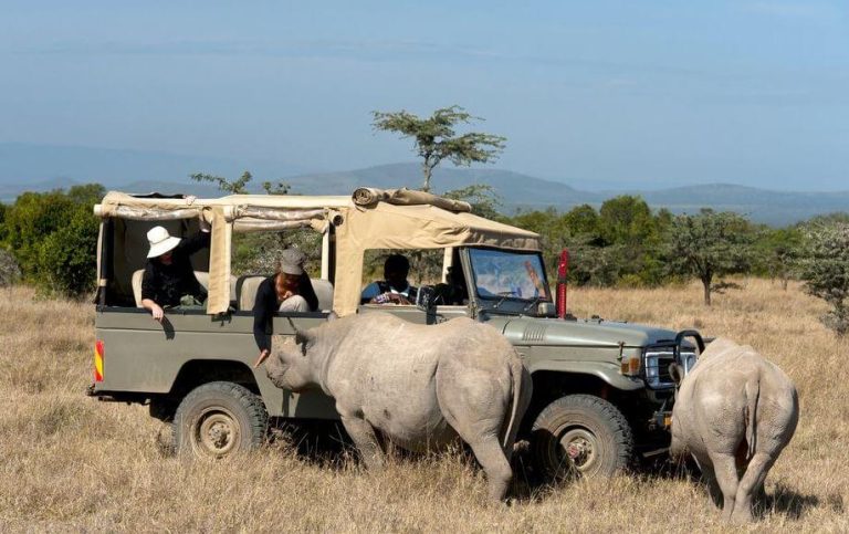 Weather in Kenya in July + Travel Tips (by a Local)