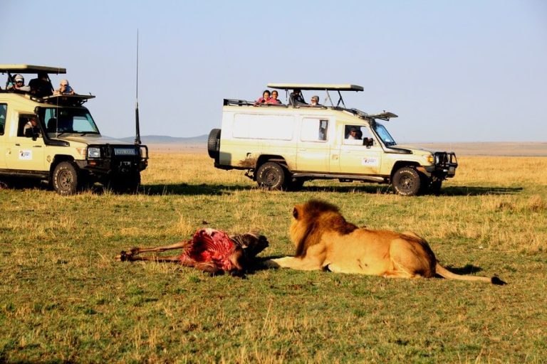 Weather in Kenya in September +Travel Tips (By a Local)