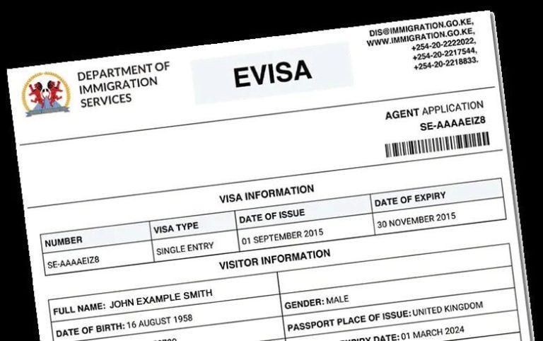 10 Kenya e-Visa Problems and Solutions