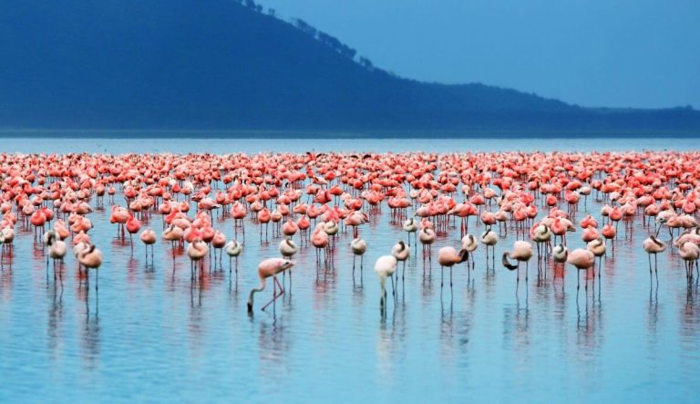 15 Most Beautiful Lakes in Kenya to Add To Your Bucket List