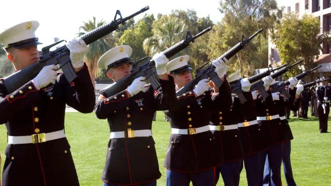 Different Gun Salutes and their Meanings Kenyalogue