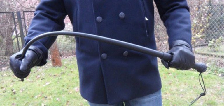 Everything You Need To Know About Sjambok Whip